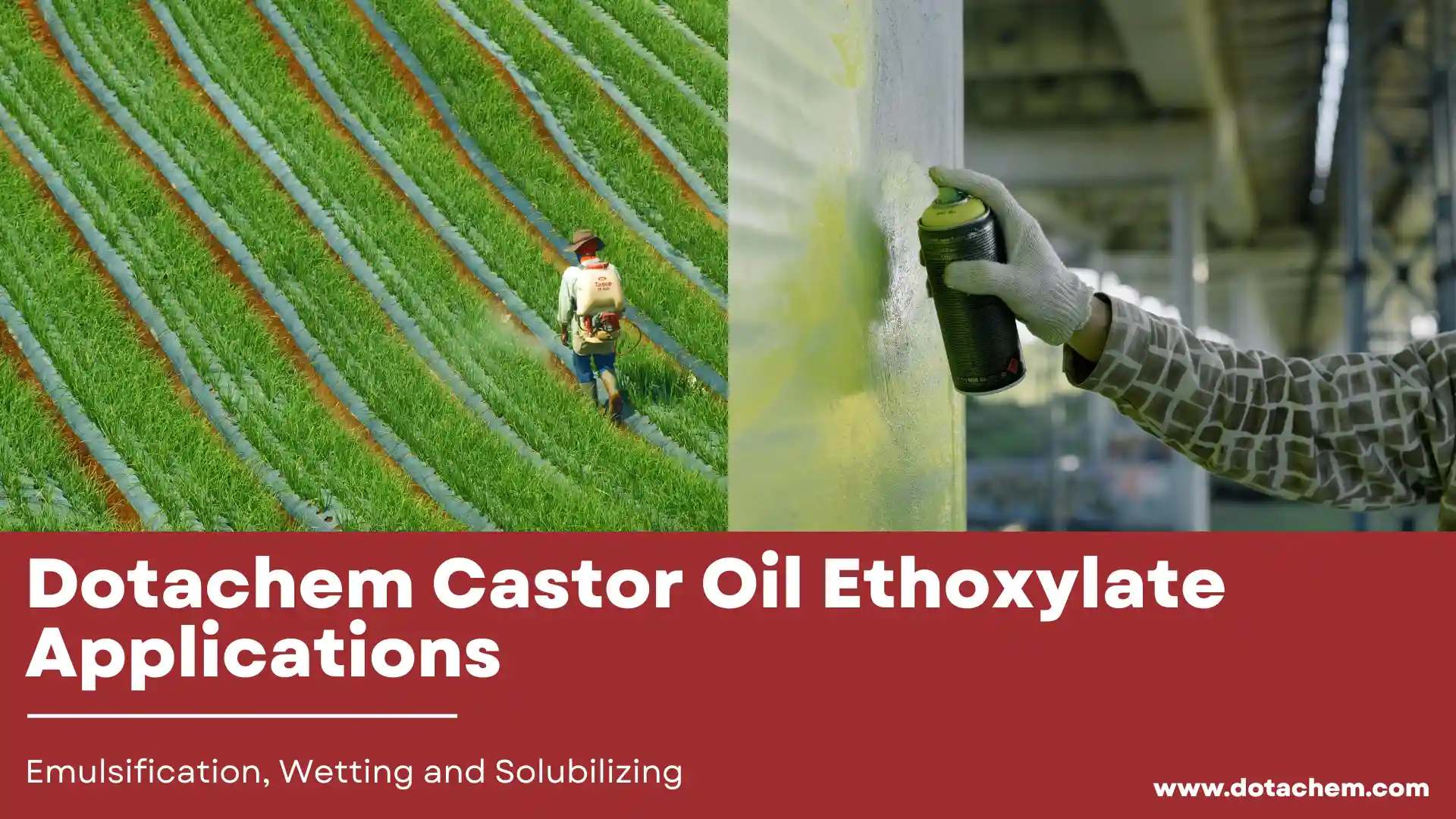 Aplikasi Dotachem Castor Oil Ethoxylate ing Emulsifikasi, Wetting lan Solubilizing