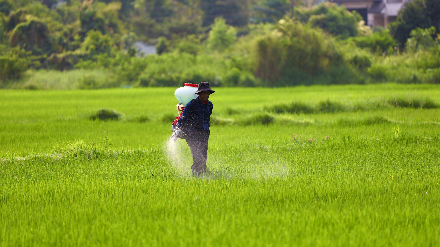 Apa Monoethanolamine Digunakake ing Agrokimia?